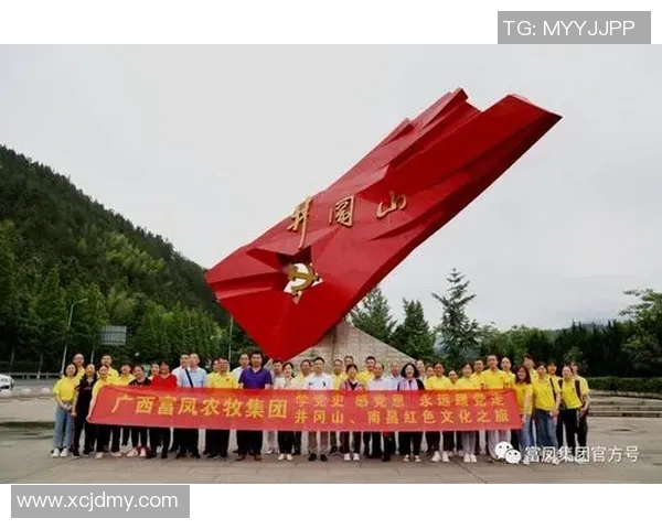 张帆：在时代浪潮中追寻梦想与坚持的力量