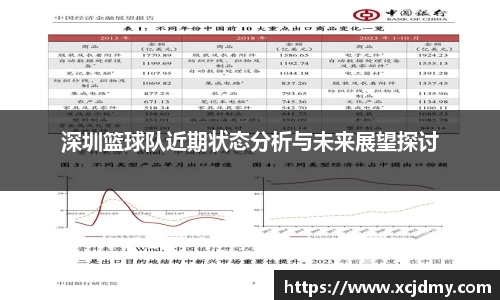 深圳篮球队近期状态分析与未来展望探讨