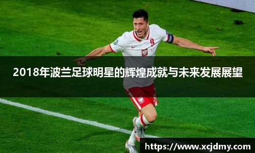2018年波兰足球明星的辉煌成就与未来发展展望