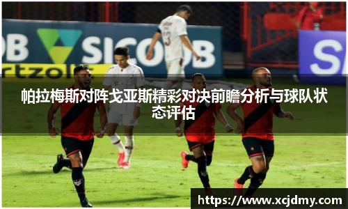 zoty中欧官网