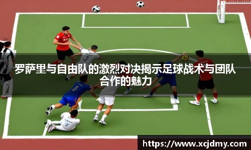 zoty中欧